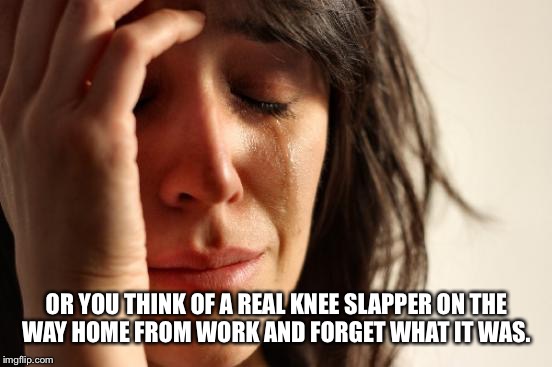 First World Problems Meme | OR YOU THINK OF A REAL KNEE SLAPPER ON THE WAY HOME FROM WORK AND FORGET WHAT IT WAS. | image tagged in memes,first world problems | made w/ Imgflip meme maker