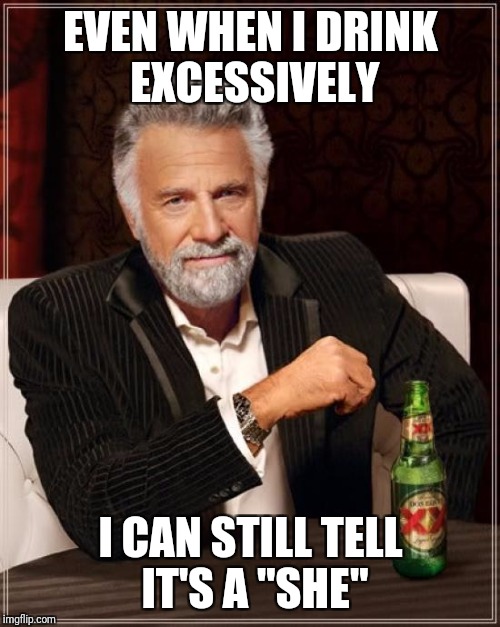 The Most Interesting Man In The World Meme | EVEN WHEN I DRINK EXCESSIVELY I CAN STILL TELL IT'S A "SHE" | image tagged in memes,the most interesting man in the world | made w/ Imgflip meme maker