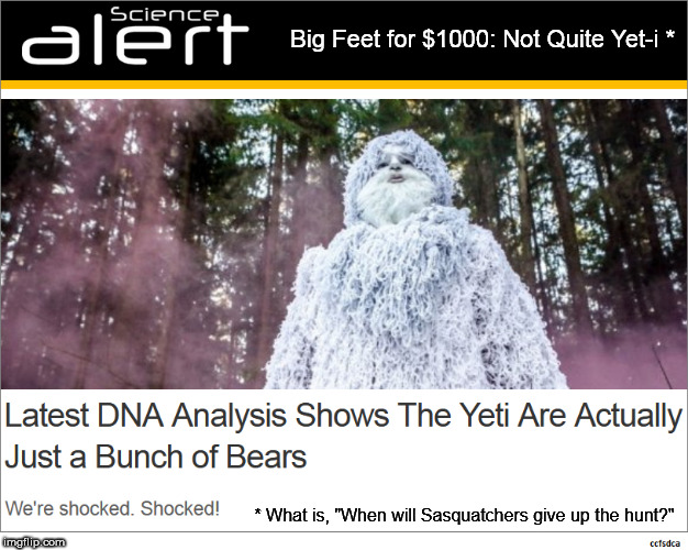 Not Quite Yet-i | Big Feet for $1000: Not Quite Yet-i *; * What is, "When will Sasquatchers give up the hunt?" | image tagged in yeti,jeopardy,sasquatch | made w/ Imgflip meme maker