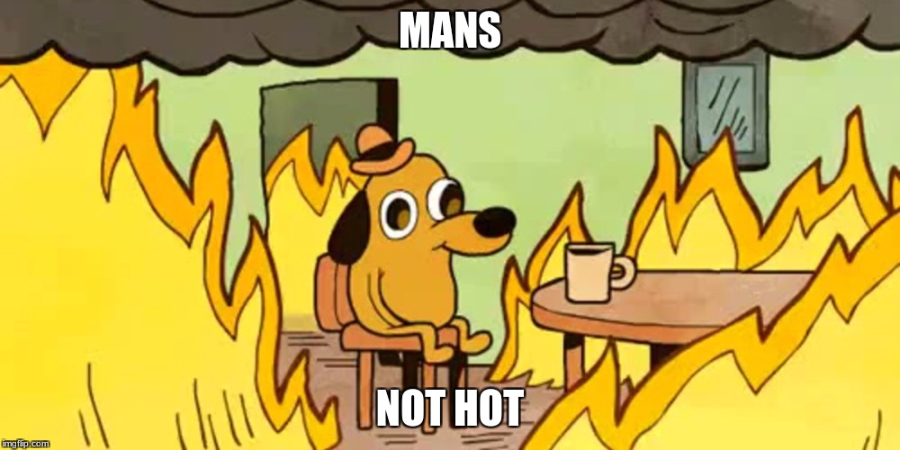Dog on fire |  MANS; NOT HOT | image tagged in dog on fire | made w/ Imgflip meme maker
