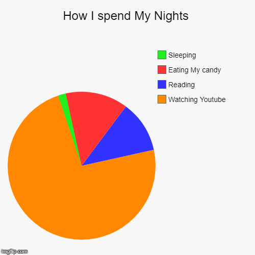 Anyone Else? | image tagged in funny,pie charts,sleep | made w/ Imgflip chart maker