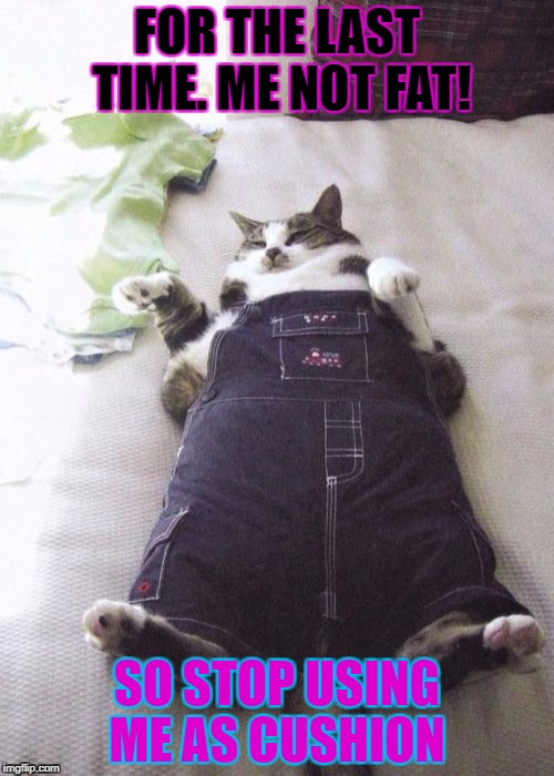 Fat Cat Meme | FOR THE LAST TIME. ME NOT FAT! SO STOP USING ME AS CUSHION | image tagged in memes,fat cat | made w/ Imgflip meme maker