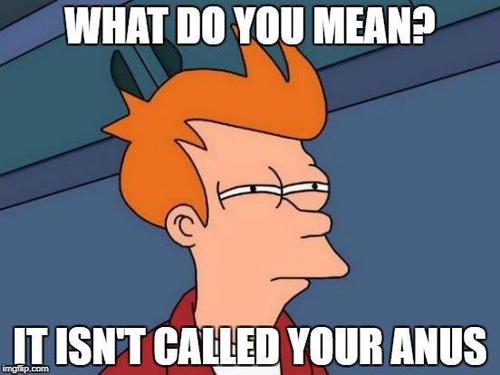 Futurama Fry | WHAT DO YOU MEAN? IT ISN'T CALLED YOUR ANUS | image tagged in memes,futurama fry | made w/ Imgflip meme maker