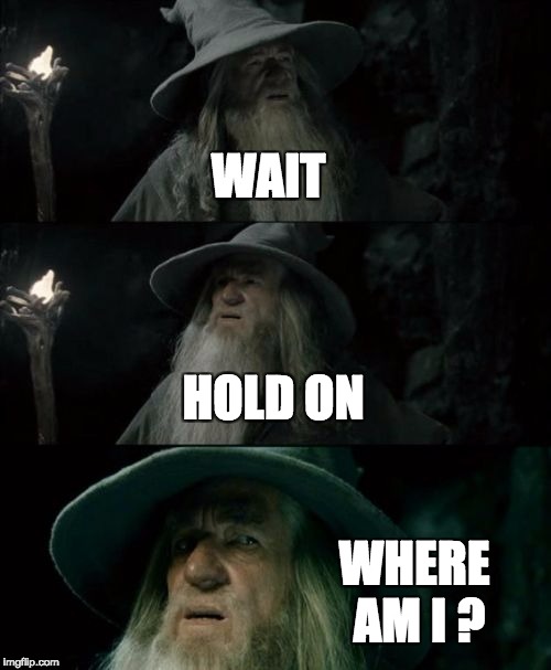 Confused Gandalf Meme | WAIT; HOLD ON; WHERE AM I ? | image tagged in memes,confused gandalf | made w/ Imgflip meme maker