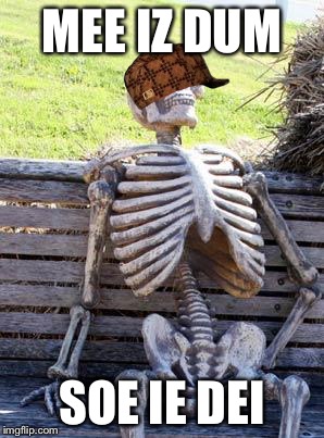Waiting Skeleton Meme | MEE IZ DUM; SOE IE DEI | image tagged in memes,waiting skeleton,scumbag,funny,gifs,imgflip | made w/ Imgflip meme maker