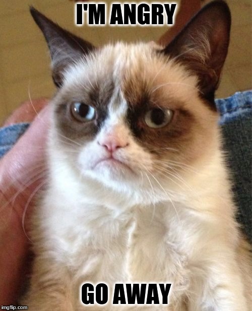 Grumpy Cat Meme | I'M ANGRY; GO AWAY | image tagged in memes,grumpy cat | made w/ Imgflip meme maker