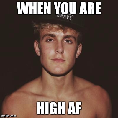 Jake Paul | WHEN YOU ARE; HIGH AF | image tagged in jake paul | made w/ Imgflip meme maker