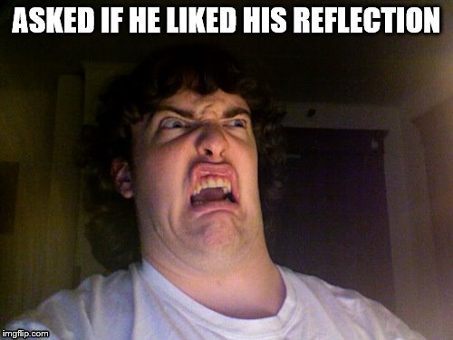 Oh No Meme | ASKED IF HE LIKED HIS REFLECTION | image tagged in memes,oh no | made w/ Imgflip meme maker