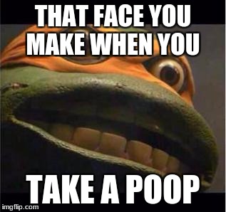 teen age mutant ninja turtle | THAT FACE YOU MAKE WHEN YOU; TAKE A POOP | image tagged in teen age mutant ninja turtle | made w/ Imgflip meme maker