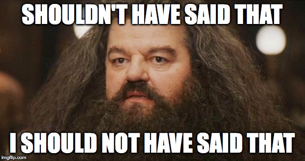 Hagrid | SHOULDN'T HAVE SAID THAT; I SHOULD NOT HAVE SAID THAT | image tagged in hagrid | made w/ Imgflip meme maker