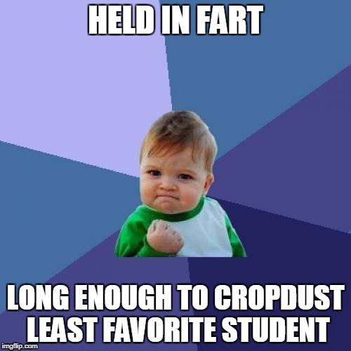 Sweet smell of success | HELD IN FART; LONG ENOUGH TO CROPDUST LEAST FAVORITE STUDENT | image tagged in memes,success kid,teacher,student,school | made w/ Imgflip meme maker