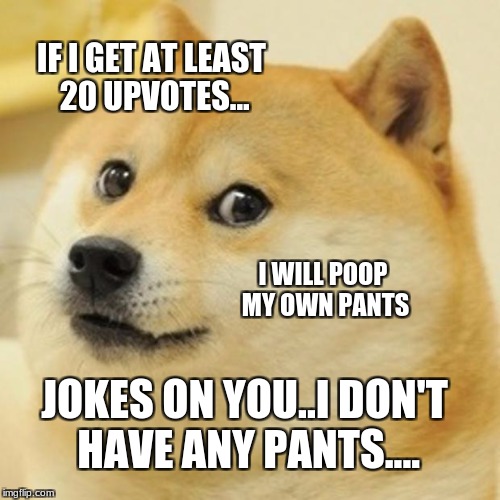 Doge | IF I GET AT LEAST 20 UPVOTES... I WILL POOP MY OWN PANTS; JOKES ON YOU..I DON'T HAVE ANY PANTS.... | image tagged in memes,doge | made w/ Imgflip meme maker
