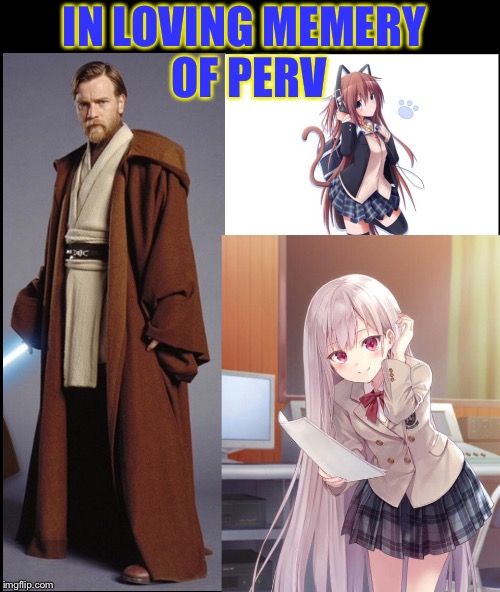 In loveing memeory of perv on imgflip he was a freind of many and a sws fan so may the force be with him always | IN LOVING MEMERY OF PERV | image tagged in meme,memes,star wars,star wars meme,star wars fan | made w/ Imgflip meme maker