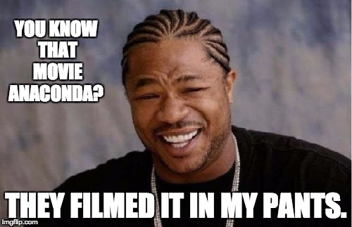 Yo Dawg Heard You Meme | YOU KNOW THAT MOVIE ANACONDA? THEY FILMED IT IN MY PANTS. | image tagged in memes,yo dawg heard you | made w/ Imgflip meme maker