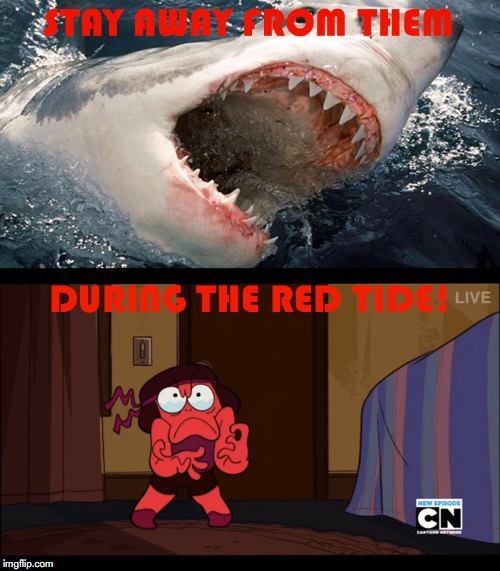 What Do Rubies and Sharks Have In Common? | image tagged in sharks,ruby,steven universe,humor | made w/ Imgflip meme maker