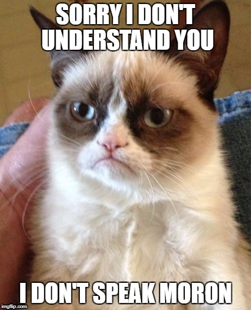 Grumpy Cat Meme | SORRY I DON'T UNDERSTAND YOU; I DON'T SPEAK MORON | image tagged in memes,grumpy cat | made w/ Imgflip meme maker