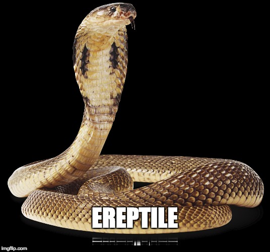 EREPTILE | image tagged in reptile,erectile dysfunction,snake,cobra | made w/ Imgflip meme maker