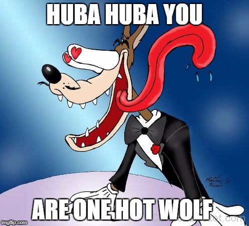 Wolf in Love | HUBA HUBA YOU; ARE ONE HOT WOLF | image tagged in wolf in love | made w/ Imgflip meme maker