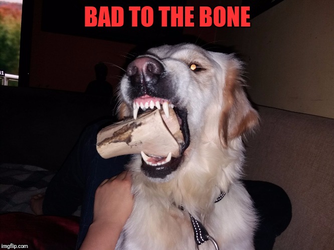 BAD TO THE BONE | image tagged in zelda bad  to the bone | made w/ Imgflip meme maker