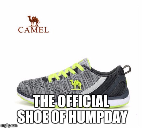 Humpday Gainzzz | THE OFFICIAL SHOE OF HUMPDAY | image tagged in hump day,camel,comedy,gym | made w/ Imgflip meme maker