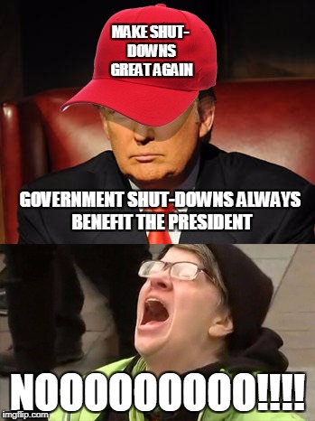 Tormentor in Chief | MAKE SHUT- DOWNS GREAT AGAIN; GOVERNMENT SHUT-DOWNS ALWAYS BENEFIT THE PRESIDENT; NOOOOOOOOO!!!! | image tagged in trump hat no | made w/ Imgflip meme maker