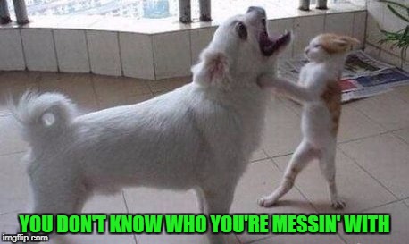 YOU DON'T KNOW WHO YOU'RE MESSIN' WITH | made w/ Imgflip meme maker