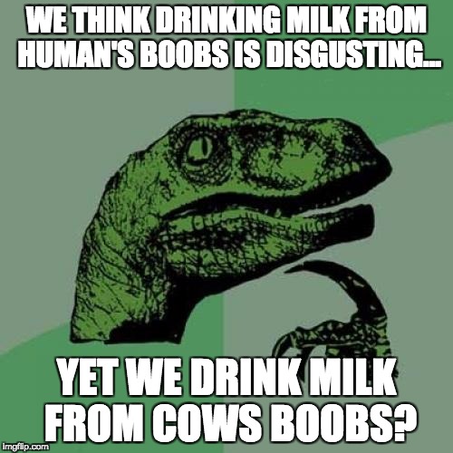 Philosoraptor Meme | WE THINK DRINKING MILK FROM HUMAN'S BOOBS IS DISGUSTING... YET WE DRINK MILK FROM COWS BOOBS? | image tagged in memes,philosoraptor | made w/ Imgflip meme maker