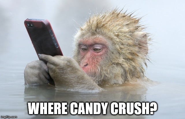 WHERE CANDY CRUSH? | made w/ Imgflip meme maker