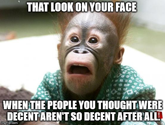 surprized monkey | THAT LOOK ON YOUR FACE; WHEN THE PEOPLE YOU THOUGHT WERE DECENT AREN'T SO DECENT AFTER ALL. | image tagged in surprized monkey | made w/ Imgflip meme maker