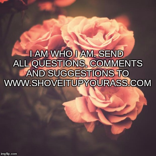 yup | I AM WHO I AM. SEND ALL QUESTIONS, COMMENTS AND SUGGESTIONS TO WWW.SHOVEITUPYOURASS.COM | image tagged in beautiful vintage flowers,inspirational,memes,funny,inspirational quote | made w/ Imgflip meme maker