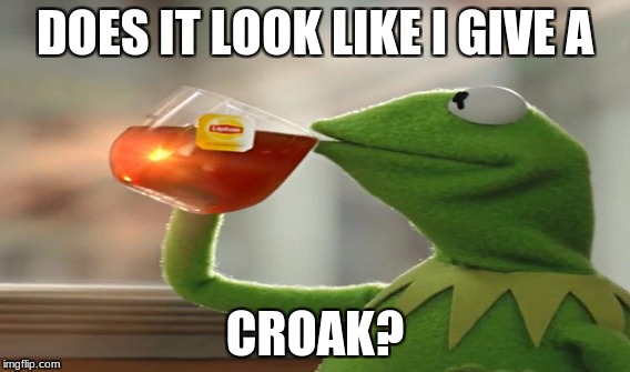 Does it look like I give a croak? | DOES IT LOOK LIKE I GIVE A; CROAK? | image tagged in frog puns | made w/ Imgflip meme maker