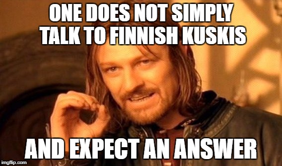 One Does Not Simply Meme | ONE DOES NOT SIMPLY TALK TO FINNISH KUSKIS; AND EXPECT AN ANSWER | image tagged in memes,one does not simply | made w/ Imgflip meme maker