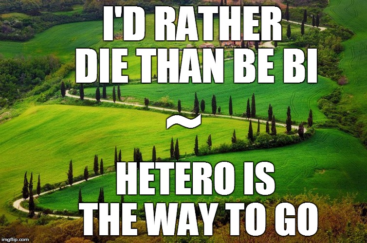I'D RATHER DIE THAN BE BI HETERO IS THE WAY TO GO ~ | made w/ Imgflip meme maker