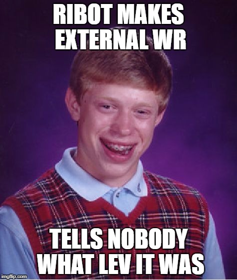 Bad Luck Brian Meme | RIBOT MAKES EXTERNAL WR; TELLS NOBODY WHAT LEV IT WAS | image tagged in memes,bad luck brian | made w/ Imgflip meme maker