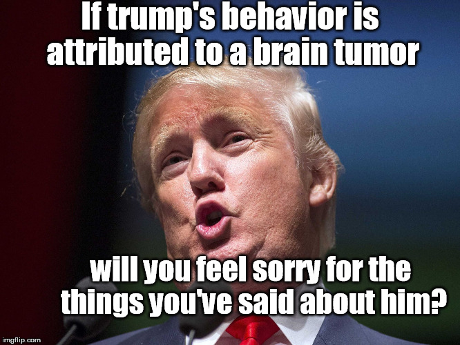 donald trump huge | If trump's behavior is attributed to a brain tumor; will you feel sorry for the things you've said about him? | image tagged in donald trump huge,trump's brain,brain tumor,trump's behavior | made w/ Imgflip meme maker