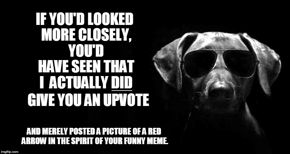 IF YOU'D LOOKED MORE CLOSELY, YOU'D HAVE SEEN THAT I  ACTUALLY DID AND MERELY POSTED A PICTURE OF A RED ARROW IN THE SPIRIT OF YOUR FUNNY ME | made w/ Imgflip meme maker