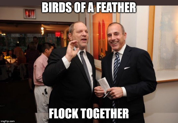 Hypocrites! Sexual Predators!  | BIRDS OF A FEATHER; FLOCK TOGETHER | image tagged in matt lauer,harvey weinstein,sexual harassment,leftists,clifton shepherd cliffshep | made w/ Imgflip meme maker