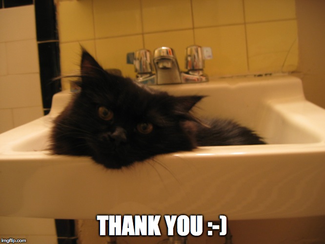 sink kitty 2 | THANK YOU :-) | image tagged in sink kitty 2 | made w/ Imgflip meme maker