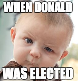 Skeptical Baby Meme | WHEN DONALD; WAS ELECTED | image tagged in memes,skeptical baby | made w/ Imgflip meme maker