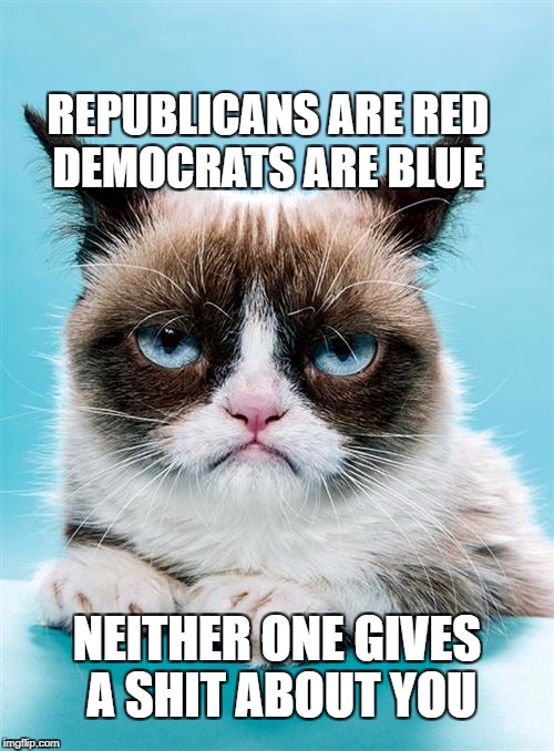 Grumpy Cat | REPUBLICANS ARE RED      DEMOCRATS ARE BLUE; NEITHER ONE GIVES A SHIT ABOUT YOU | image tagged in grumpy cat | made w/ Imgflip meme maker