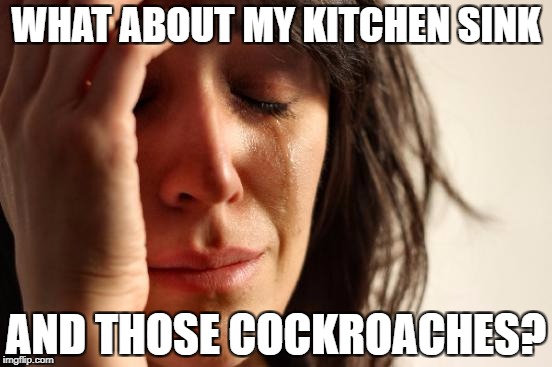 First World Problems Meme | WHAT ABOUT MY KITCHEN SINK AND THOSE COCKROACHES? | image tagged in memes,first world problems | made w/ Imgflip meme maker