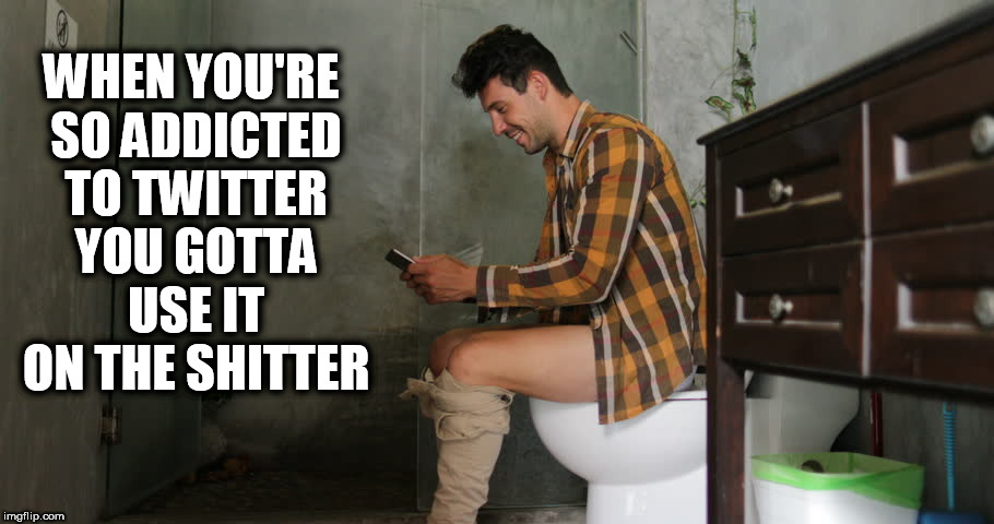 WHEN YOU'RE SO ADDICTED TO TWITTER YOU GOTTA USE IT ON THE SHITTER | image tagged in shitter,twitter,addiction,online,toilet,internet | made w/ Imgflip meme maker