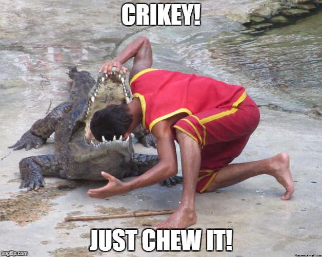 CRIKEY! JUST CHEW IT! | made w/ Imgflip meme maker