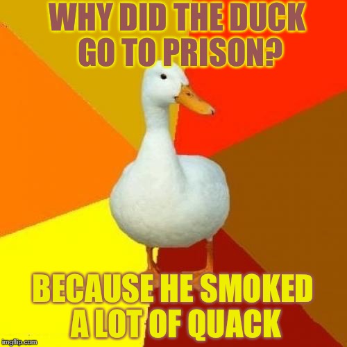 Bad duck pun | WHY DID THE DUCK GO TO PRISON? BECAUSE HE SMOKED A LOT OF QUACK | image tagged in memes,tech impaired duck,bad pun,smoke,quack,duck | made w/ Imgflip meme maker