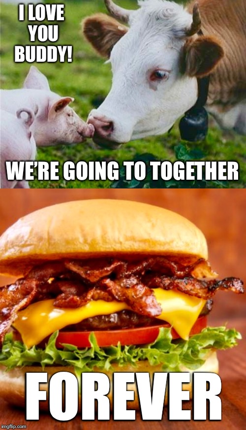 Mmmmm dinner | I LOVE YOU BUDDY! WE’RE GOING TO TOGETHER; FOREVER | image tagged in cow,pig,best friends,bacon,cheeseburger,dinner | made w/ Imgflip meme maker