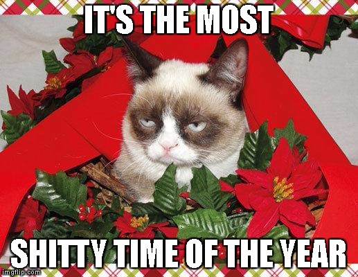 christmas is s**t |  IT'S THE MOST; SHITTY TIME OF THE YEAR | image tagged in memes,grumpy cat mistletoe,grumpy cat,reigns_storm,funny | made w/ Imgflip meme maker