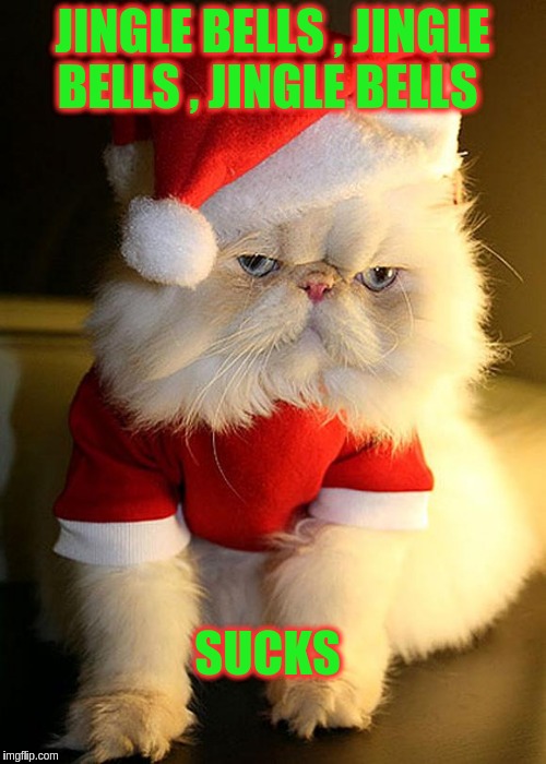Santa Grumpy Cat | JINGLE BELLS , JINGLE BELLS , JINGLE BELLS; SUCKS | image tagged in santa grumpy cat | made w/ Imgflip meme maker