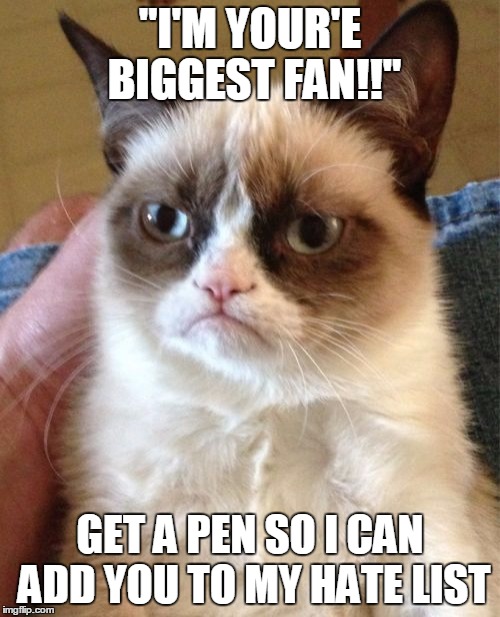 Grumpy Cat | "I'M YOUR'E BIGGEST FAN!!"; GET A PEN SO I CAN ADD YOU TO MY HATE LIST | image tagged in memes,grumpy cat | made w/ Imgflip meme maker