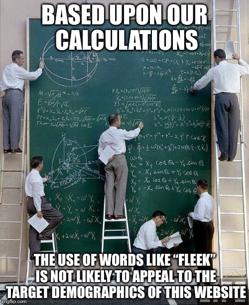 BASED UPON OUR CALCULATIONS THE USE OF WORDS LIKE “FLEEK” IS NOT LIKELY TO APPEAL TO THE TARGET DEMOGRAPHICS OF THIS WEBSITE | made w/ Imgflip meme maker