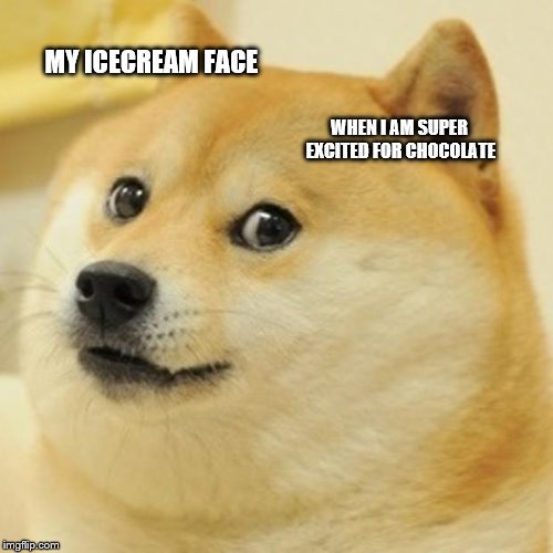 Doge Meme | MY ICECREAM FACE; WHEN I AM SUPER EXCITED FOR CHOCOLATE | image tagged in memes,doge | made w/ Imgflip meme maker